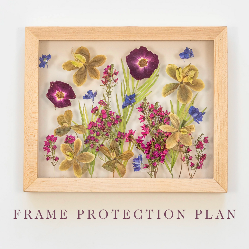 Frame Protection Plan (2 Year) – MJ By The Bay, LLC